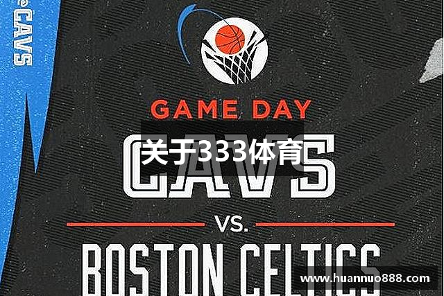 关于333体育